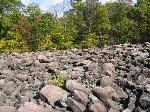 Hey, that field has a rock in it!