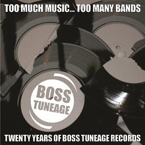 V/A - 'Too Much Music... Too Many Bands'